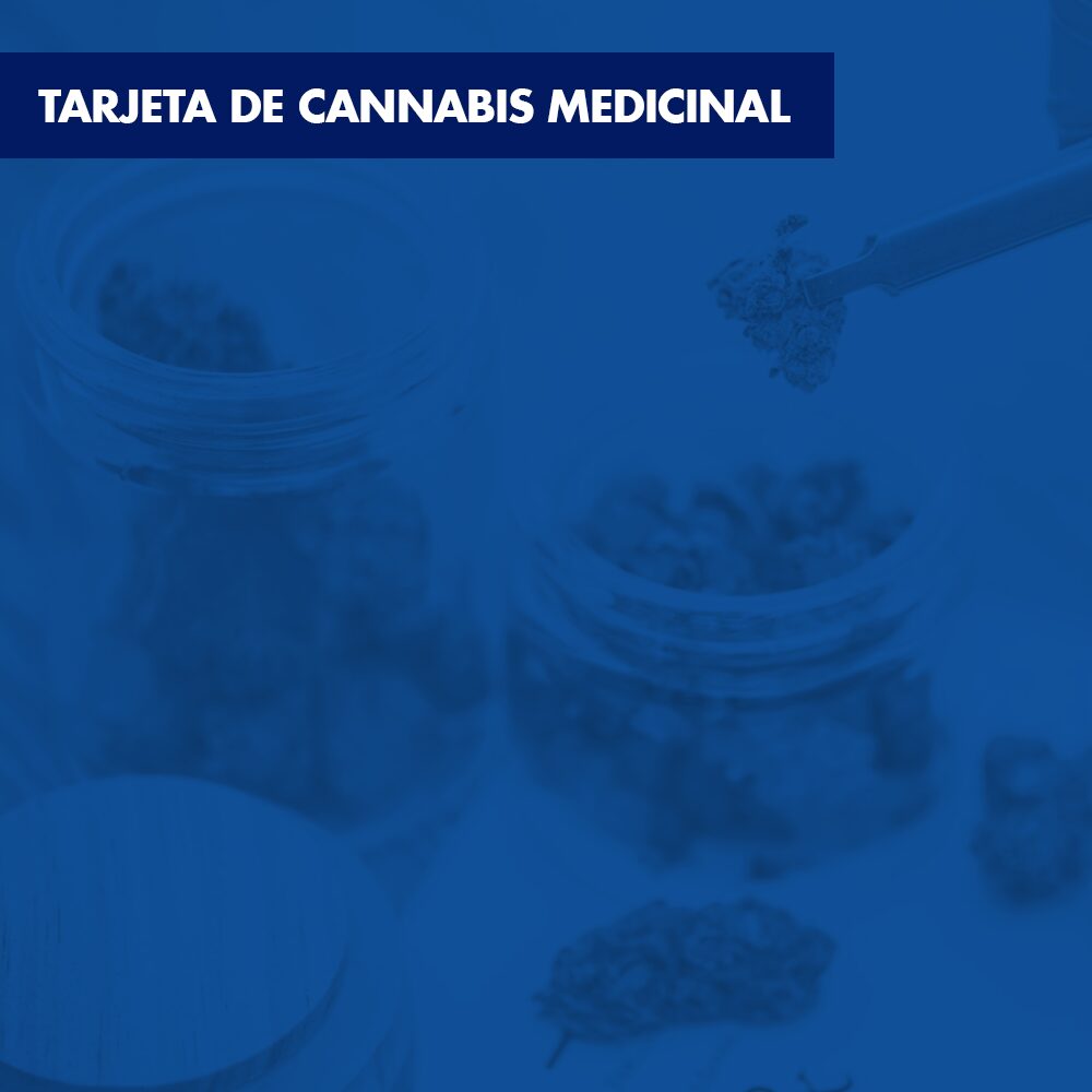 Vidamax Medical Services